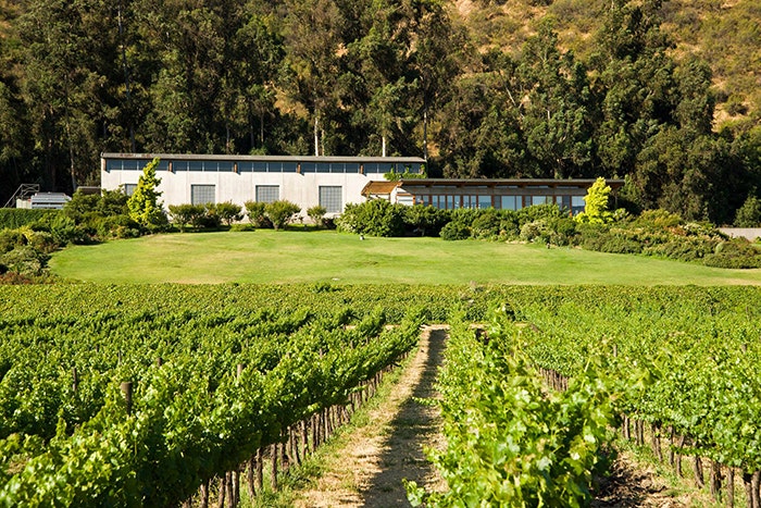 https://www.wineenthusiast.com/wp-content/uploads/2023/05/Odfjell_Vineyards4.jpg
